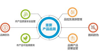 二維碼溯源系統 如何重塑企業質量管理與追溯體系
